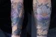 Colour Koi and Lotus Japanese half sleeve. Also a panther cover up.